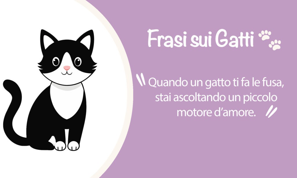 Vettoriale con scritta Frasi sui Gatti