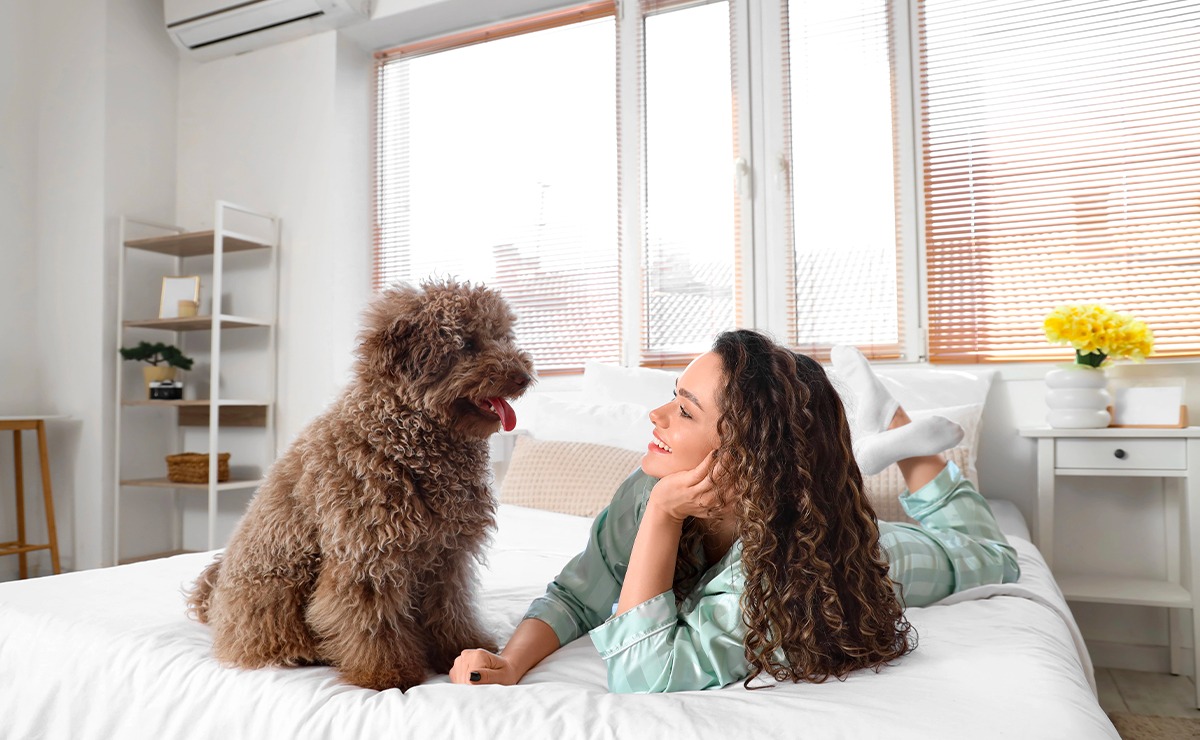 Donna sorridente sdraiata sul letto con un Lagotto Romagnolo