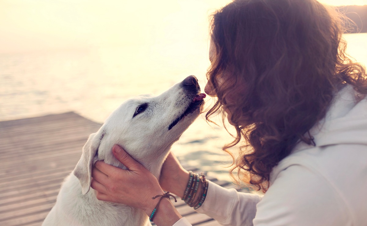 Donna accarezza il suo cane bianco su un pontile al tramonto, mentre si guardano con affetto e complicità. Un momento dolce che racconta il legame profondo tra umano e cane.